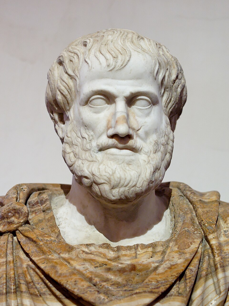 Aristotle, the ancient Greek philosopher and thinker, shares quotes filled with wisdom.