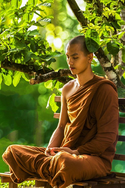 Peaceful quotes