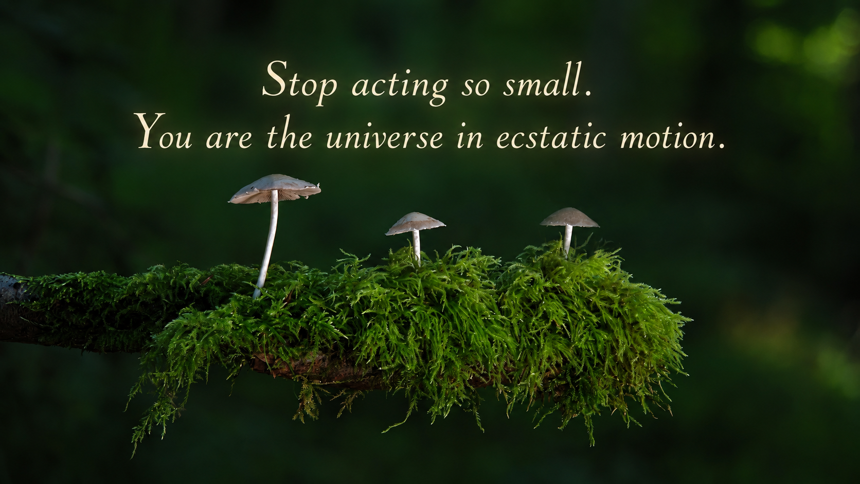 Rumi Quotes on Life and Inspirational