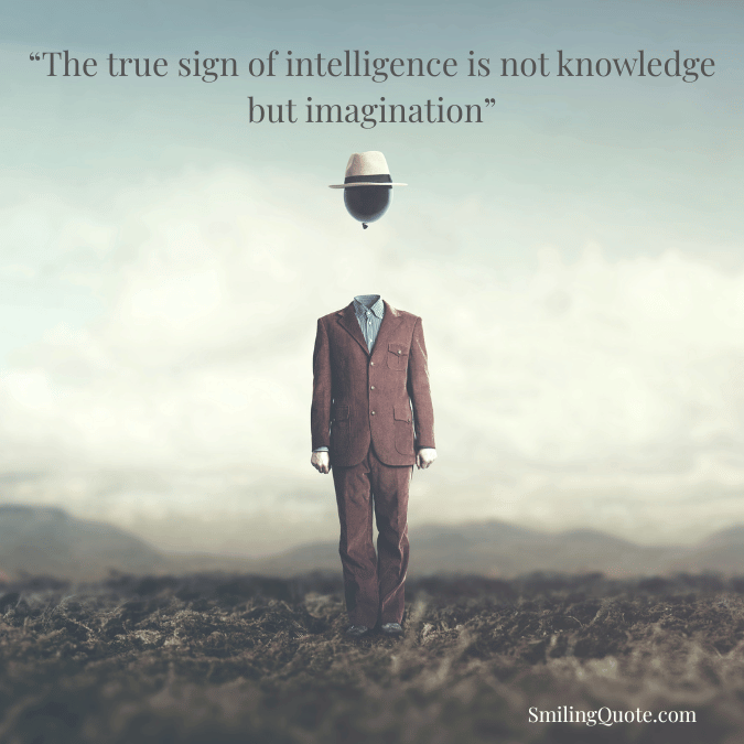 The true sign of intelligence is not knowledge but imagination.