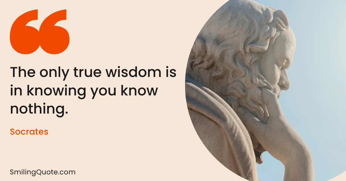 Socrates quote "The only true wisdom is in knowing you know nothing"